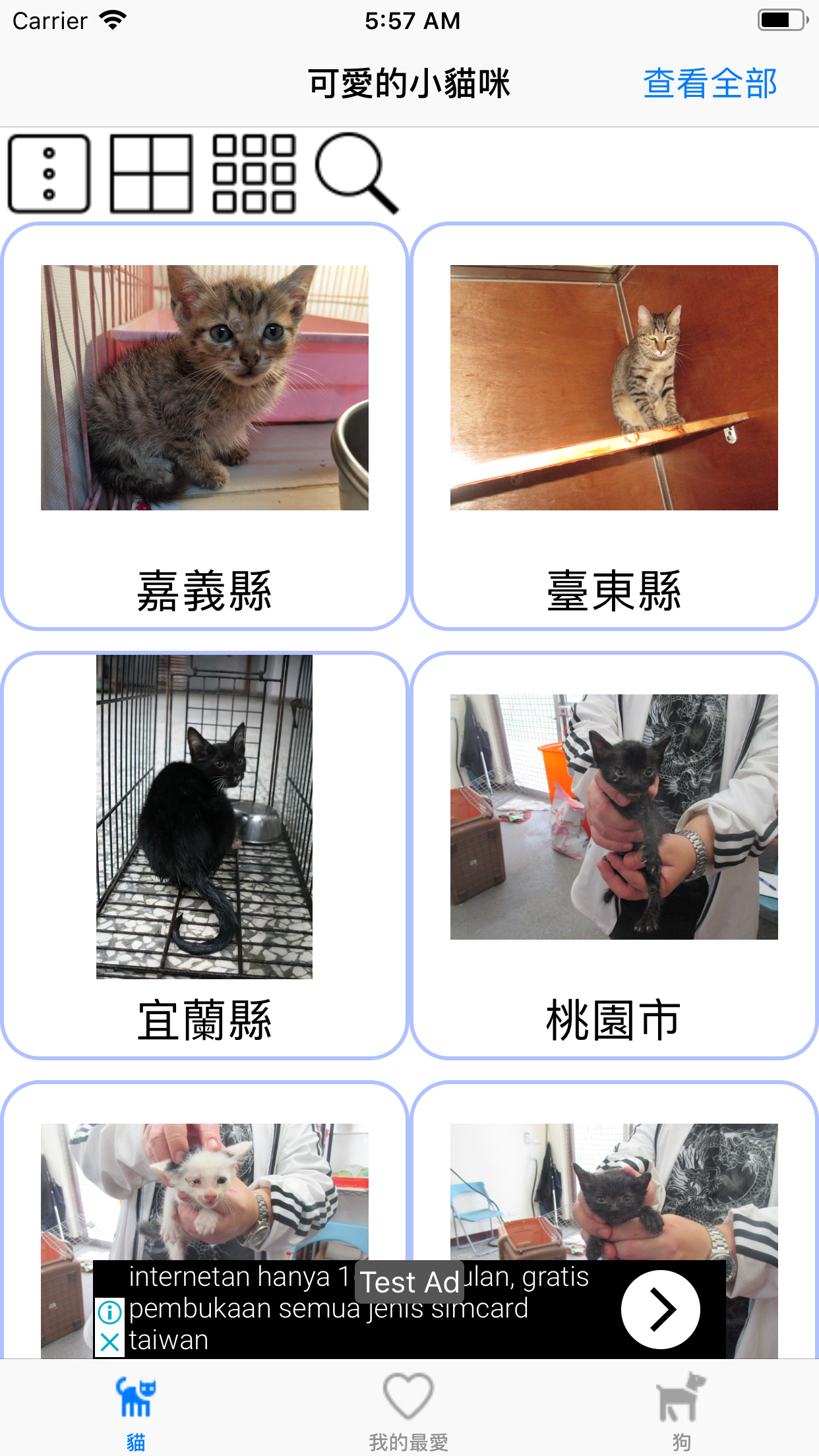動物領養