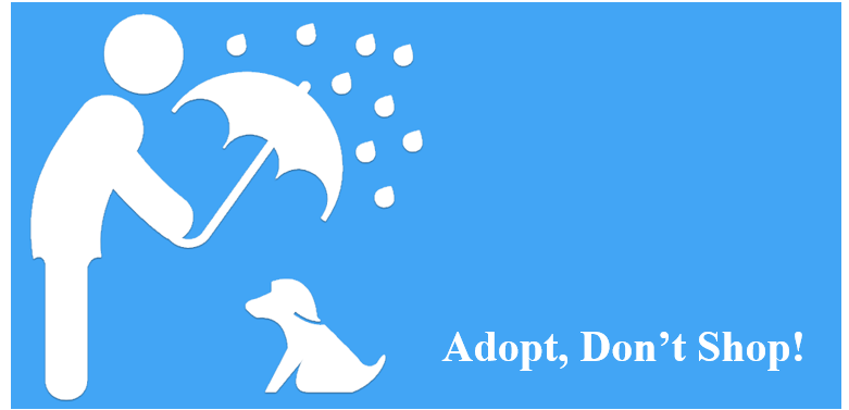 Icon of Pet Adoption Information in Taiwan APP