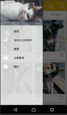 浪浪回家
