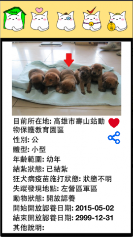帶我回家