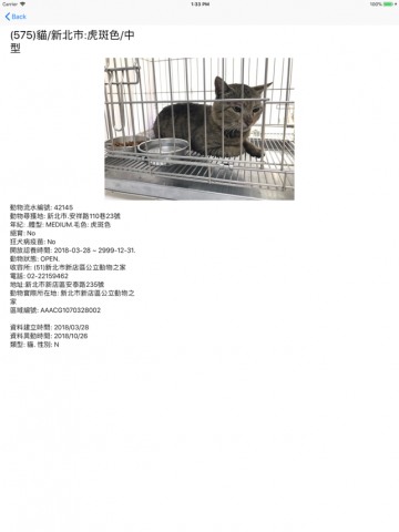 app screen 2