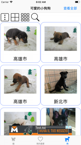 狗
