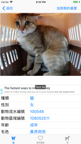 動物細節